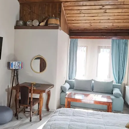 펜션 костовският *